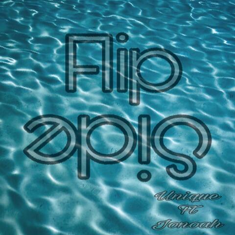 FlipSide