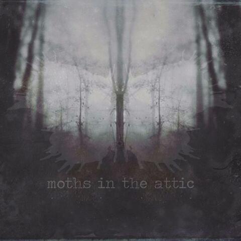 Moths in the Attic