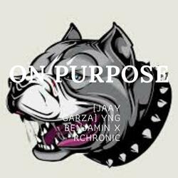 On Purpose (What the Fuck You Gon Do)