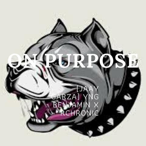 On Purpose (What the Fuck You Gon Do)