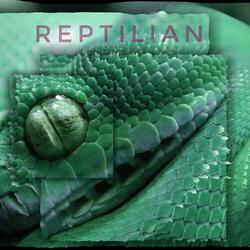 Reptilian