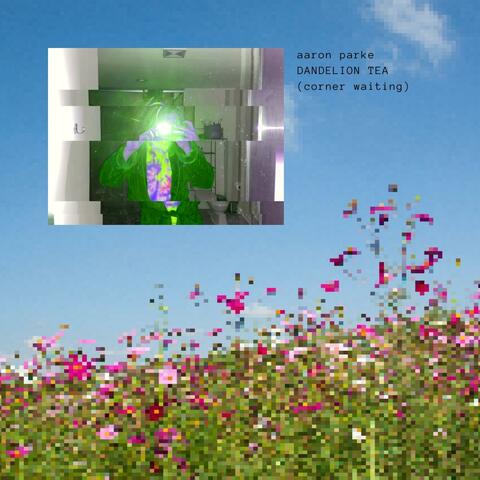 Dandelion Tea (Corner Waiting)