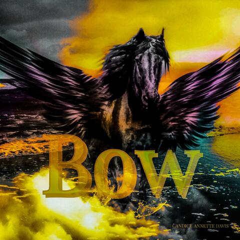Bow