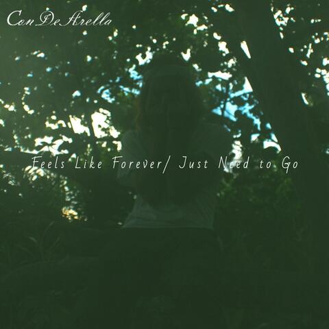 Feels Like Forever/ Just Need to Go
