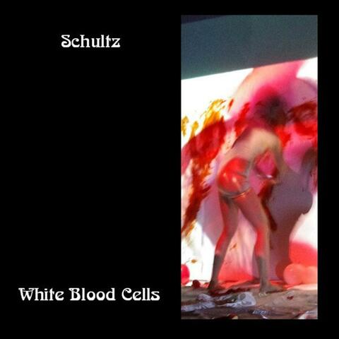 White Blood Cells