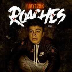 Roachess