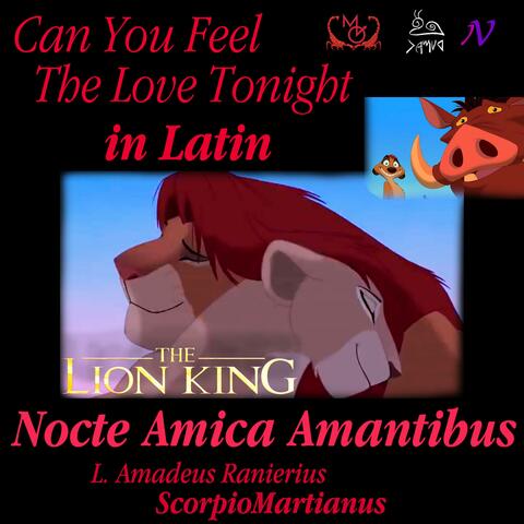Can You Feel the Love Tonight (In Latin) Lion King [Nocte Amica Amantibus]