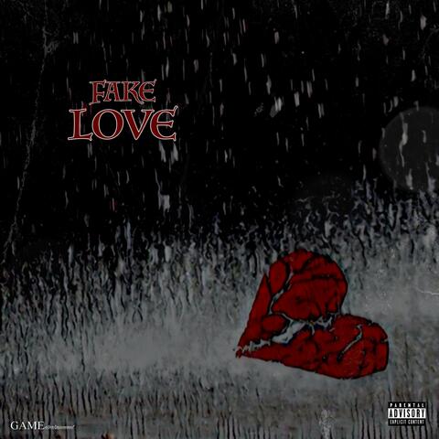 Fake Love