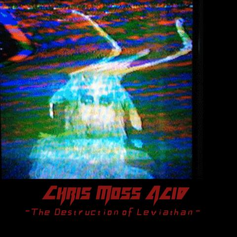 The Destruction of Leviathan