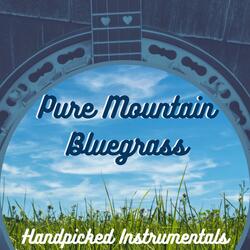 Bluegrass Banjo and Fiddle