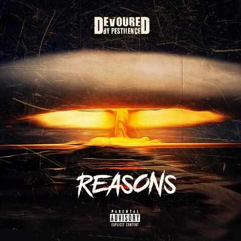 Reasons
