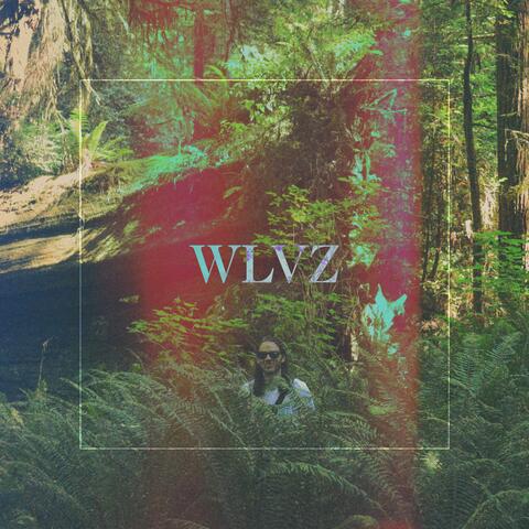 Wlvz
