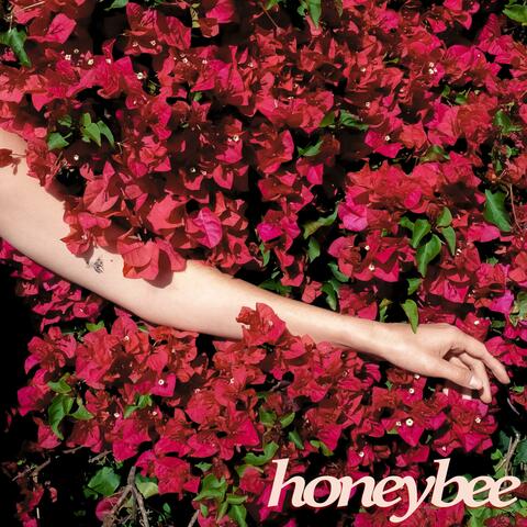 Honeybee