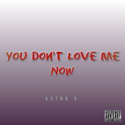 You Don't Love Me Now