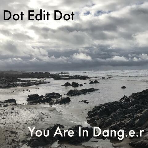 You Are in Danger