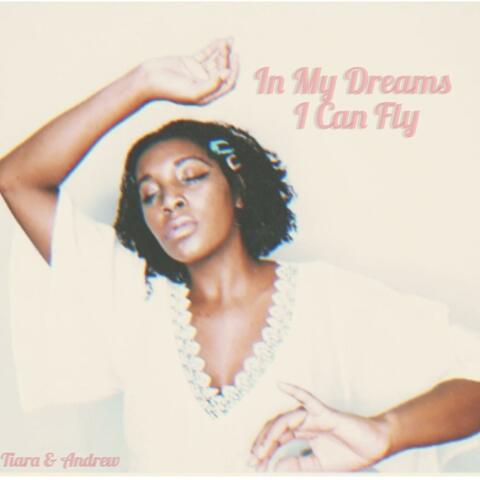 In My Dreams I Can Fly