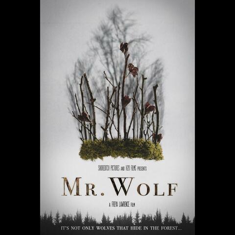 Mr Wolf (Original Motion Picture Soundtrack)
