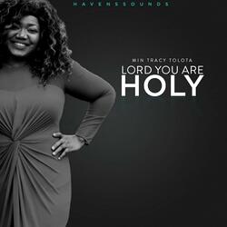 Lord You Are Holy