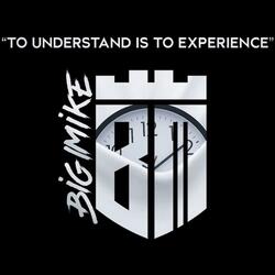 To Understand Is to Experience