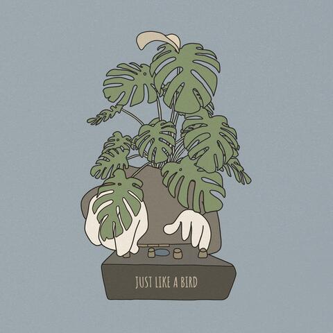 Just Like a Bird