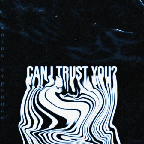 Can I Trust You?