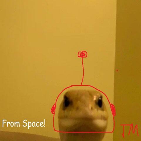 From Space!