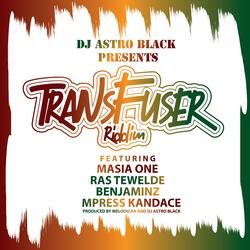 Transfuser Version