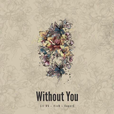 Without You
