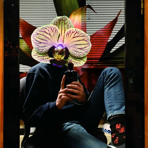 In Bloom