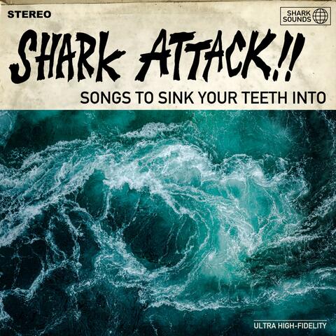 Songs to Sink Your Teeth Into