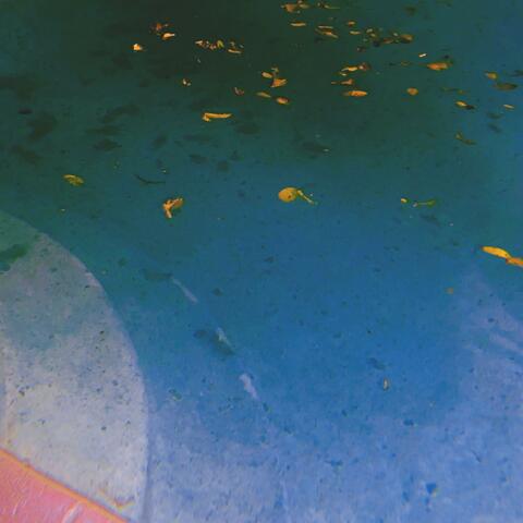 222. (Demo)