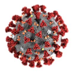 Coronavirus Song