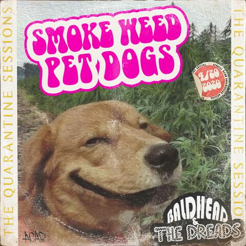 Smoke Weed Pet Dogs