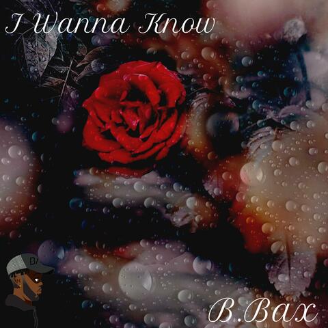 I Wanna Know