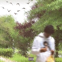 Playboi Parody (feat. Donzingis)