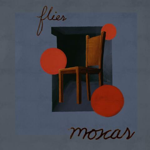Moscas