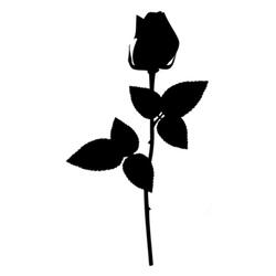 The Rose