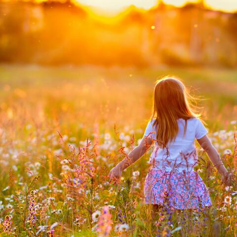 Guided Meditation: The Light in Everything