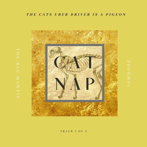 Cat Nap