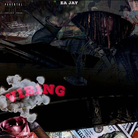 Vibing