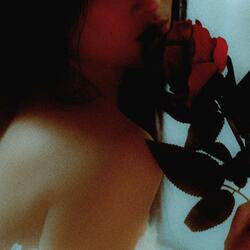 Views from the Bedroom