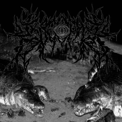Krocophile
