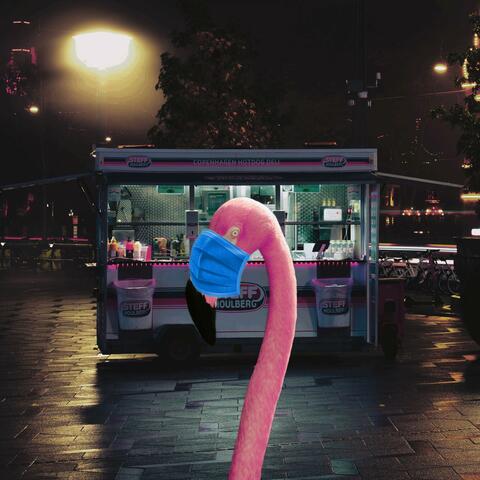 The Flamingo