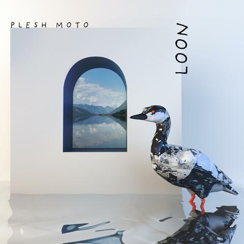 Loon