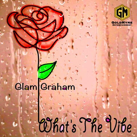 What's the Vibe