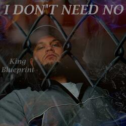 I Don't Need No