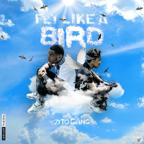 FLY Like a Bird
