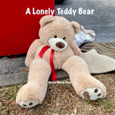 A Lonely Teddy Bear