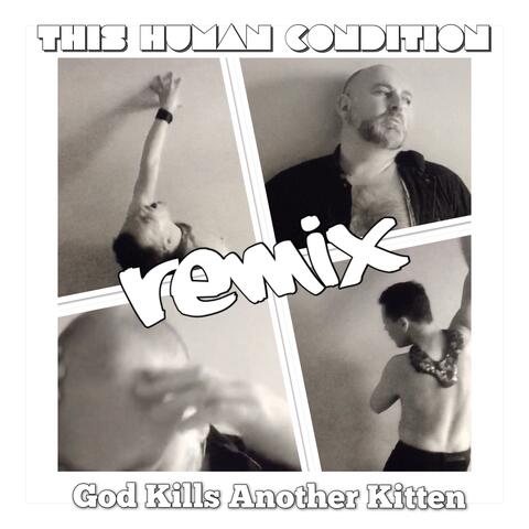 God Kills Another Kitten