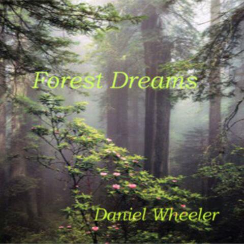 Forest Dreams